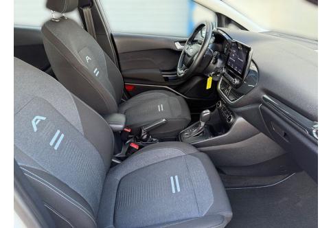 Ford Fiesta #17