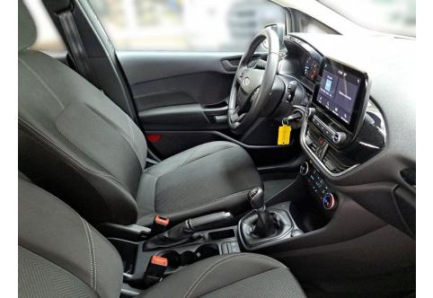Ford Fiesta #17