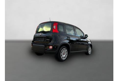 Fiat Panda #4