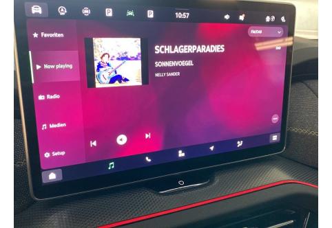 Skoda Kodiaq #5