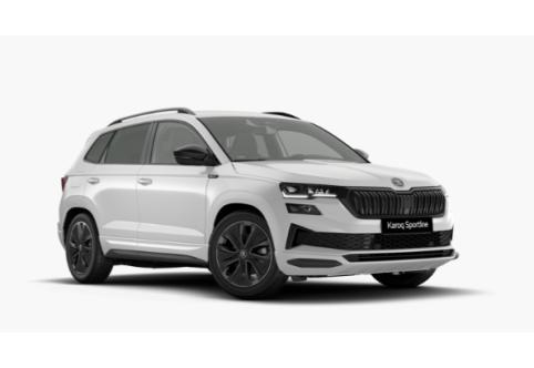 Skoda Karoq #1
