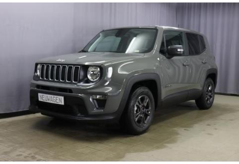 Jeep Renegade #1