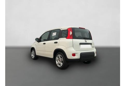 Fiat Panda #2