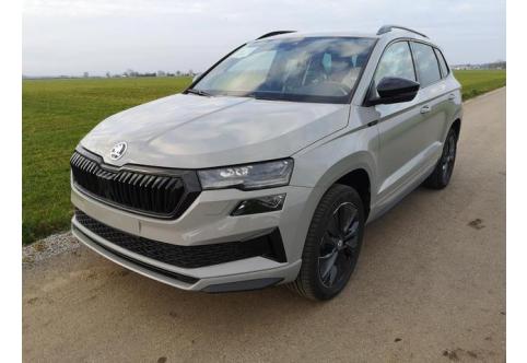 Skoda Karoq #1