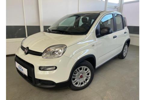 Fiat Panda #1