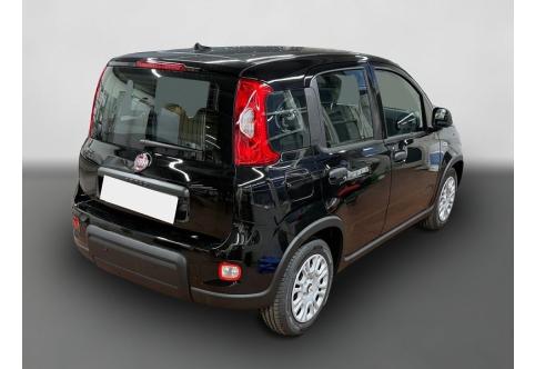 Fiat Panda #5