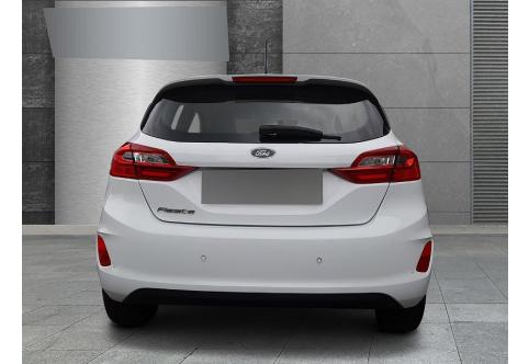 Ford Fiesta #3