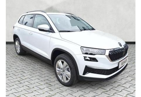Skoda Karoq #1