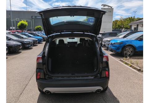 Ford Kuga #21
