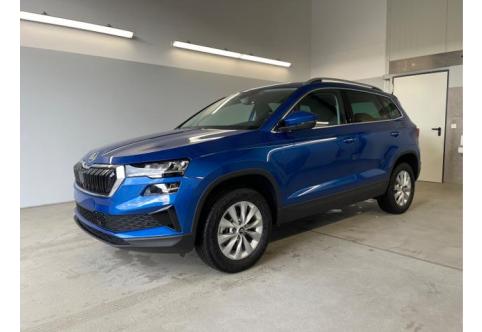 Skoda Karoq #1
