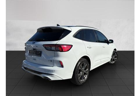 Ford Kuga #3