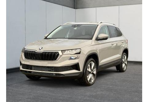 Skoda Karoq #1