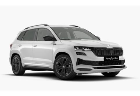 Skoda Karoq #1
