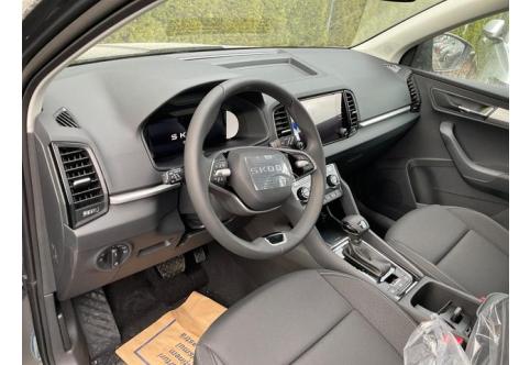 Skoda Karoq #1
