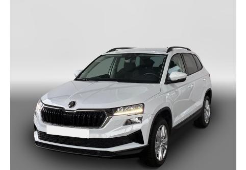 Skoda Karoq #1