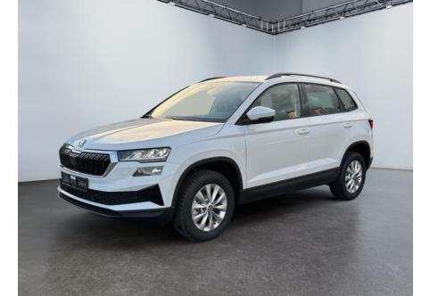 Skoda Karoq #1