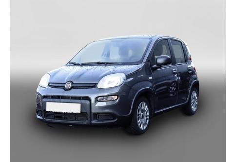 Fiat Panda #1