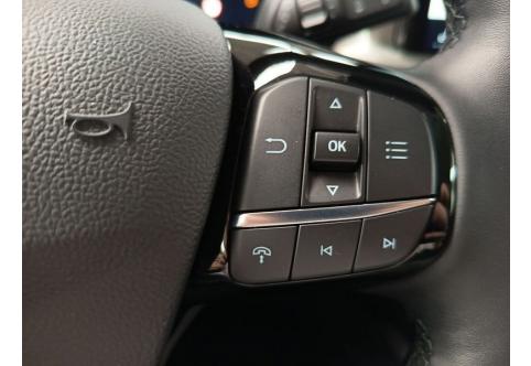 Ford Kuga #20