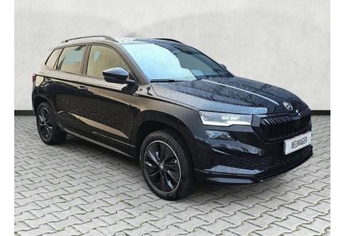 Skoda Karoq #1