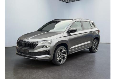 Skoda Karoq #3