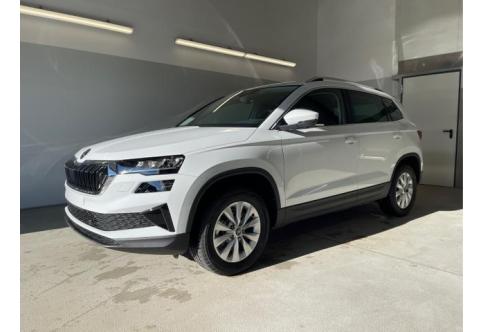 Skoda Karoq #1