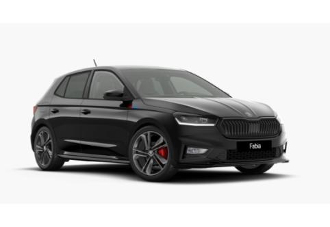 Skoda Fabia #1