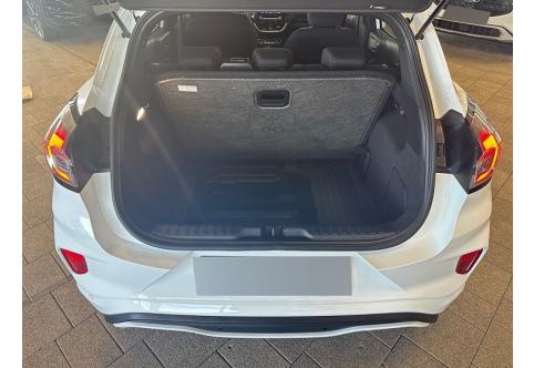 Ford Puma #19