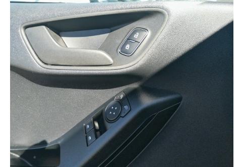 Ford Fiesta #20