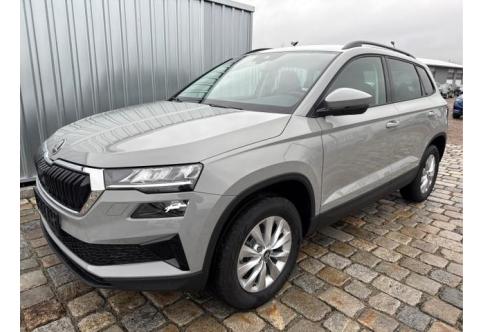 Skoda Karoq #1