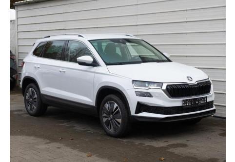 Skoda Karoq #1