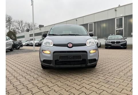 Fiat Panda #6