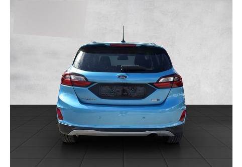 Ford Fiesta #10