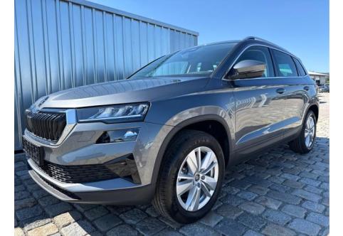 Skoda Karoq #1