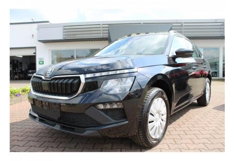 Skoda Kamiq #1